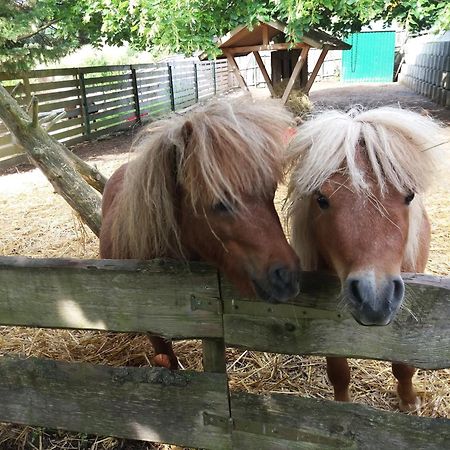 Ferienwohnung Am Hochrhoener Andenhausen Zewnętrze zdjęcie