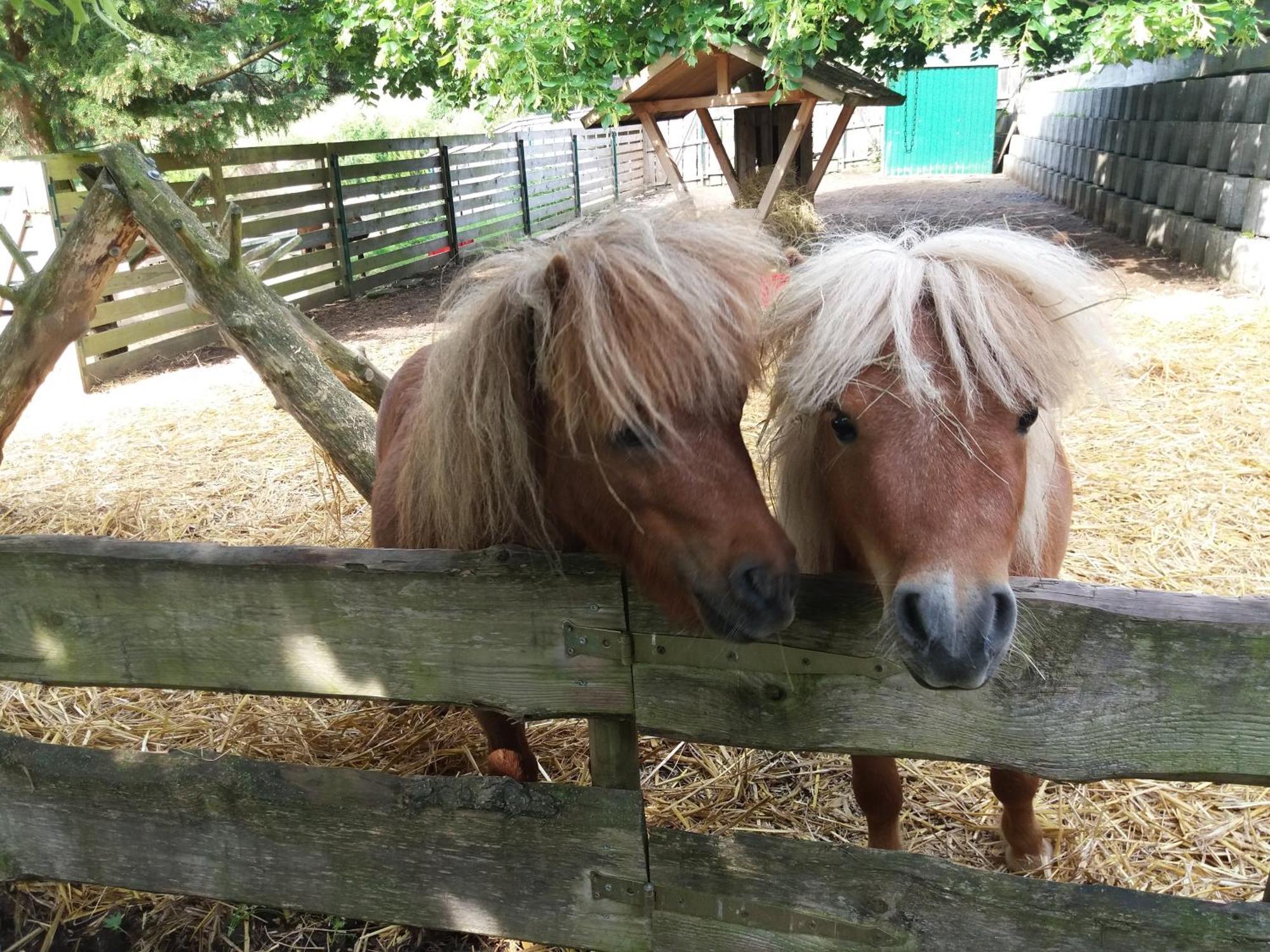 Ferienwohnung Am Hochrhoener Andenhausen Zewnętrze zdjęcie